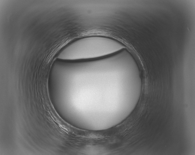 X0000086050529200703230923