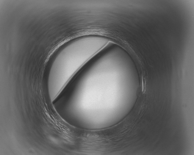 X0000086050531200703230923