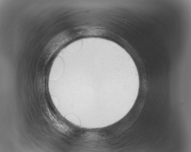 X0000086050534200703230923