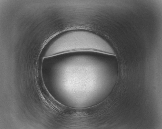 X0000086050536200703230923