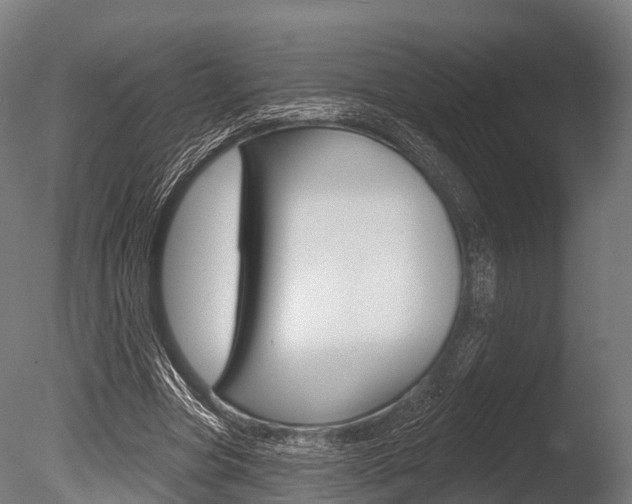 X0000086050537200703230923