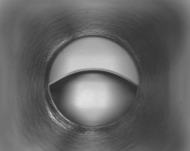 X0000086050538200703230923