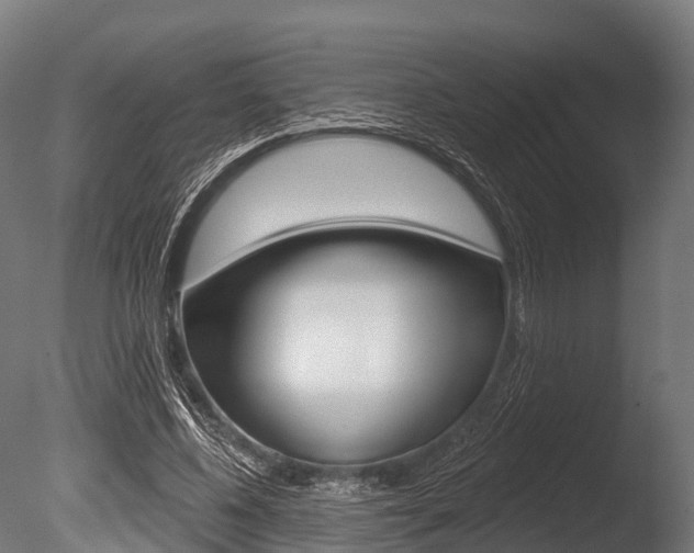 X0000086050540200703230923