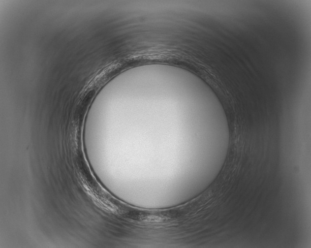 X0000086050542200703230923