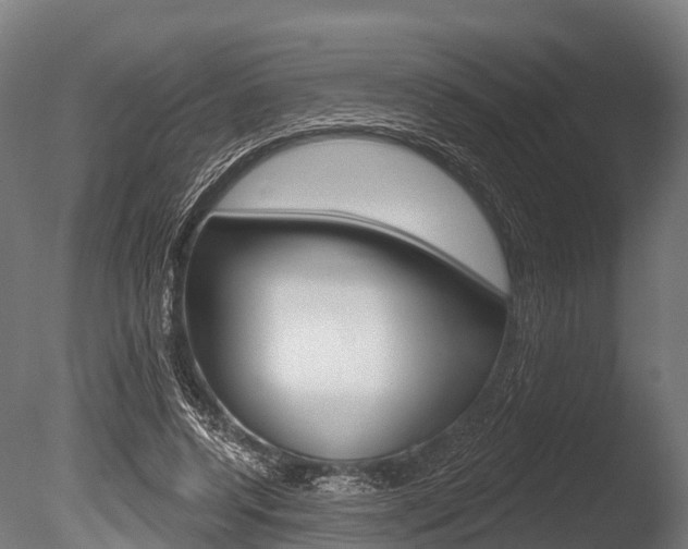 X0000086050544200703230923