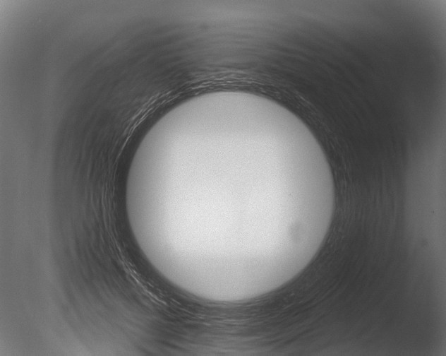 X0000086050552200703230923