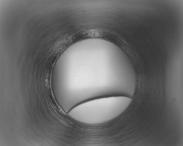X0000086050553200703230923
