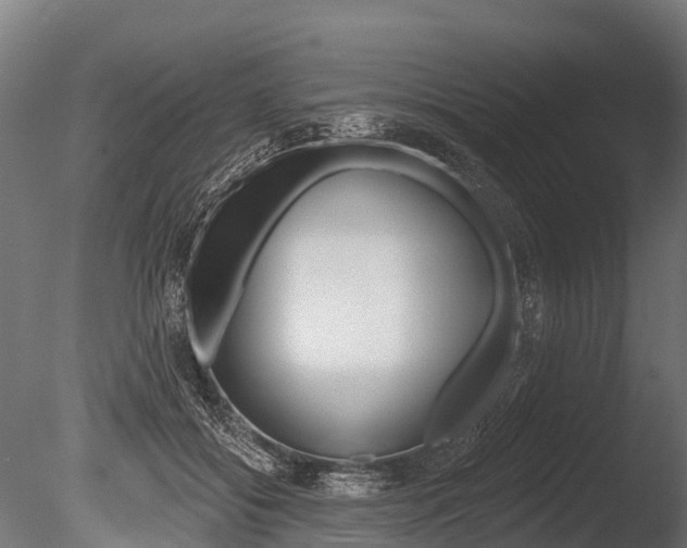 X0000086050556200703230923