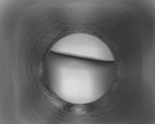 X0000086050563200703230923