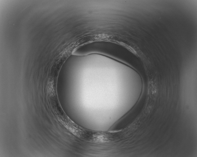 X0000086050564200703230923