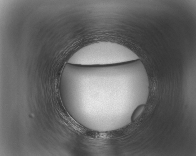 X0000086050565200703230923