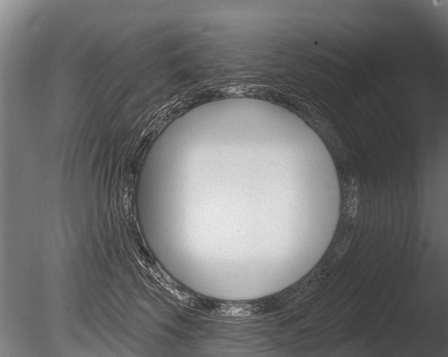X0000086050569200703230924