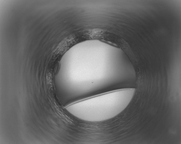 X0000086050571200703230924