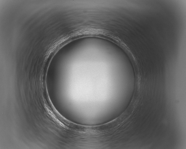 X0000086050581200703230923