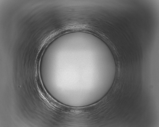 X0000086050582200703230923
