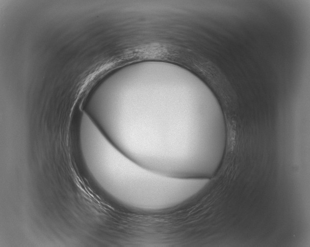 X0000086050583200703230923