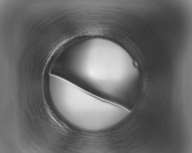 X0000086050584200703230923