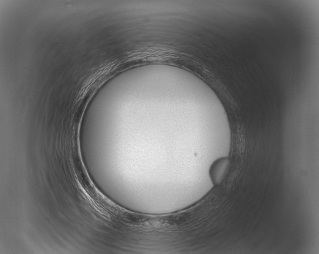 X0000086050586200703230923