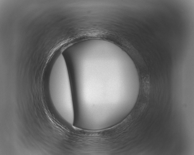 X0000086050587200703230923