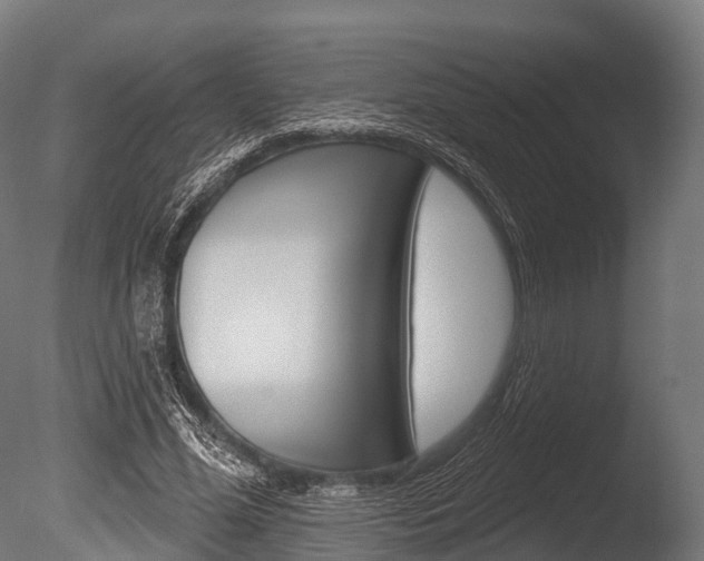 X0000086050588200703230923
