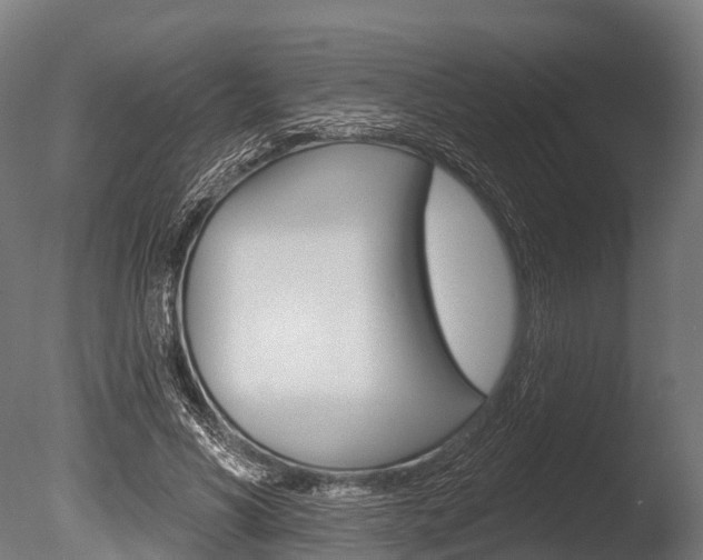 X0000086050590200703230923
