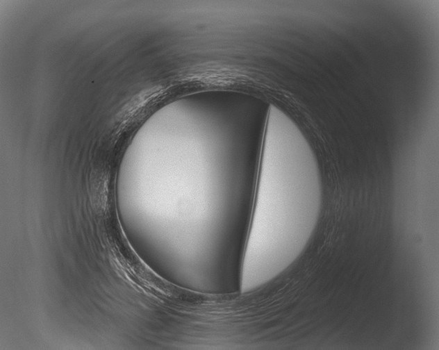 X0000086050596200703230923