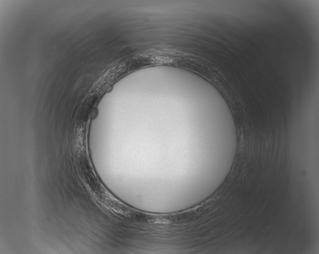 X0000086050598200703230922