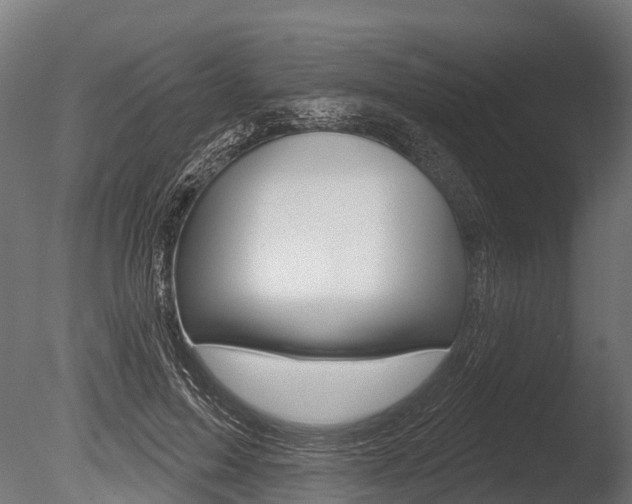 X0000086050599200703230922