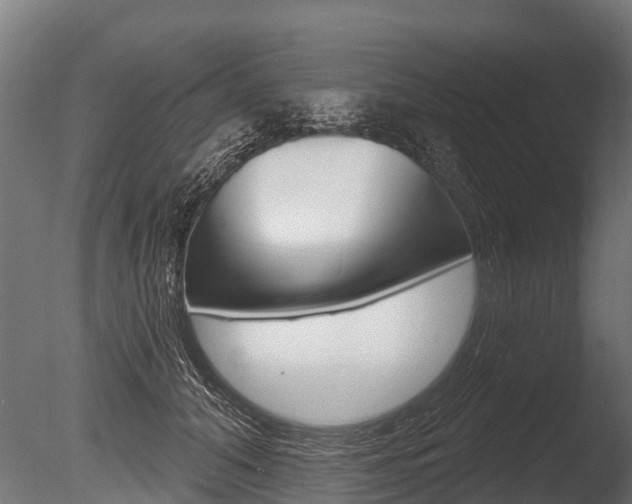 X0000086050608200703230922