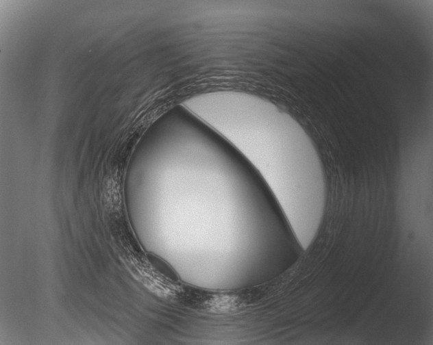 X0000086050609200703230922