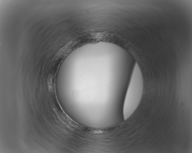 X0000086050611200703230922