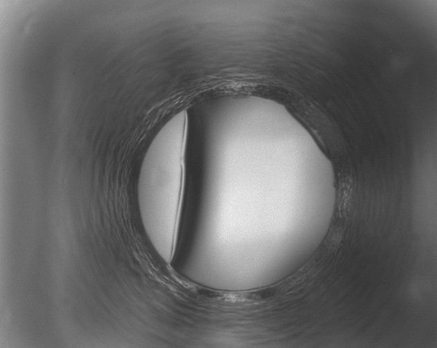 X0000086050623200703230922