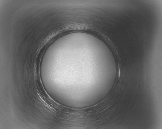X0000086050627200703230921