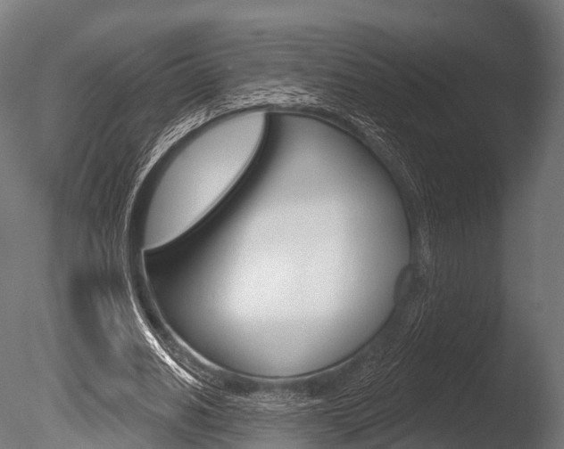 X0000086050630200703230921