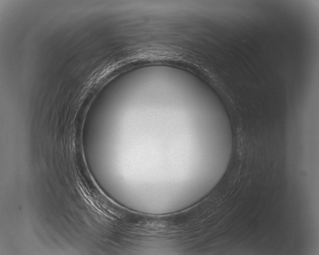 X0000086050631200703230921