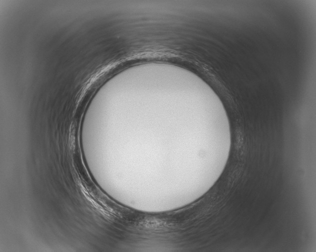 X0000086050632200703230921