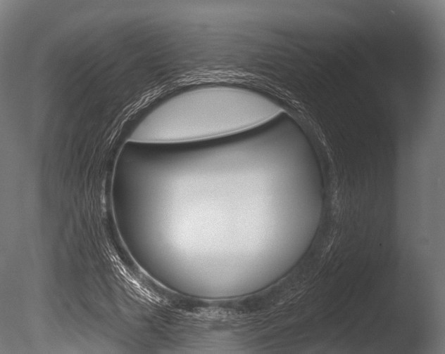 X0000086050633200703230921
