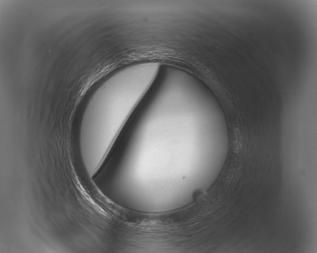 X0000086050634200703230921