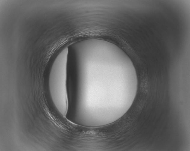 X0000086050635200703230921
