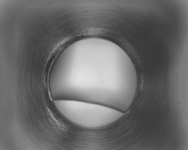 X0000086050636200703230921