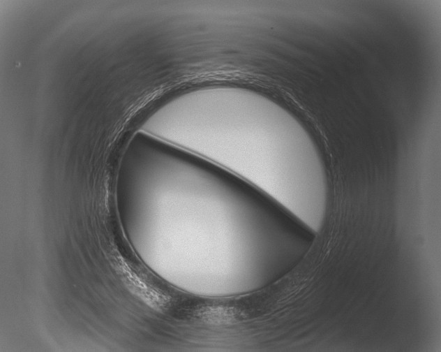 X0000086050637200703230921