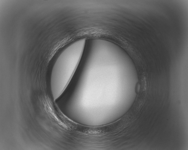 X0000086050638200703230921