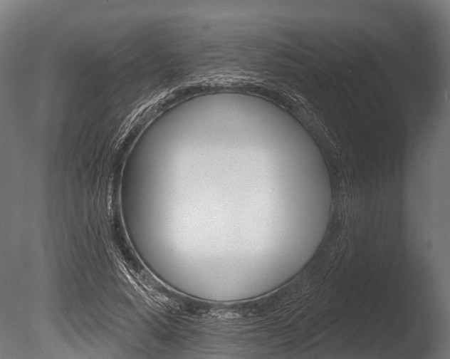 X0000086050640200703230921