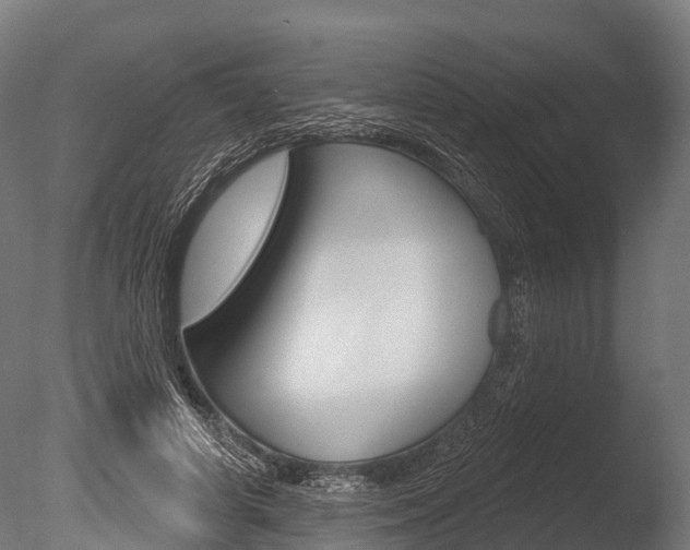 X0000086050642200703230921