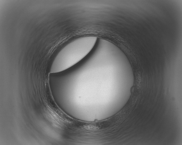 X0000086050644200703230922