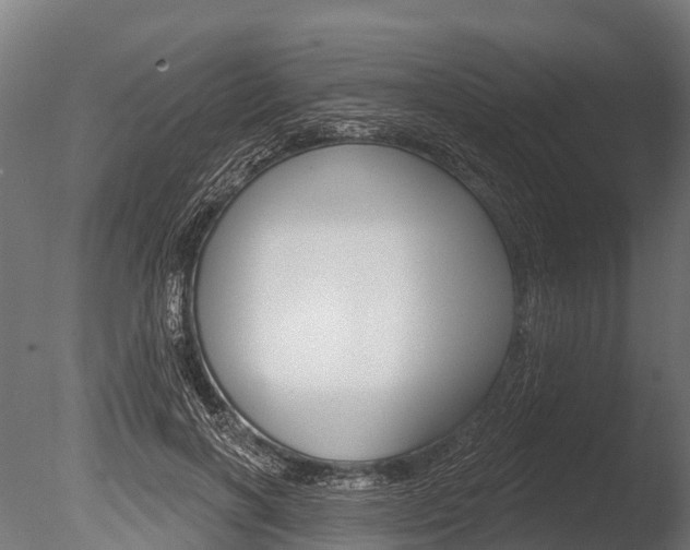 X0000086050646200703230922