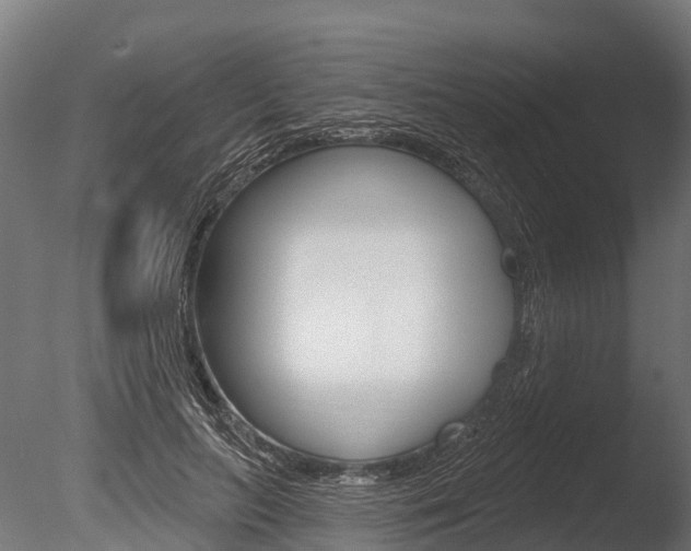 X0000086050647200703230922