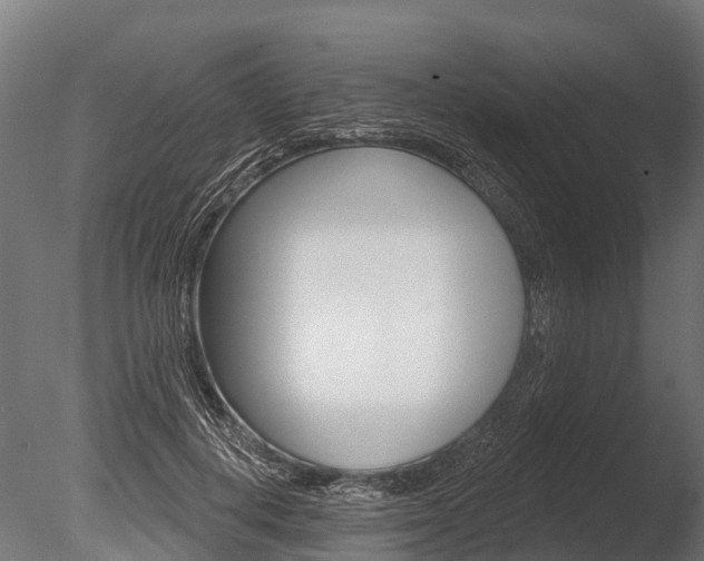 X0000086050648200703230922