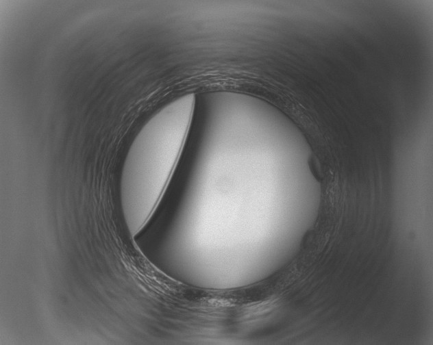 X0000086050649200703230922