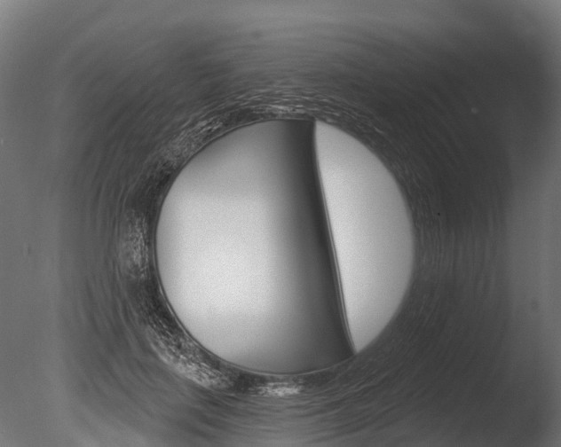 X0000086050651200703230922